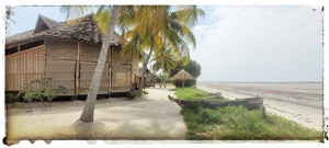 Barrys beach resort tanzanian'